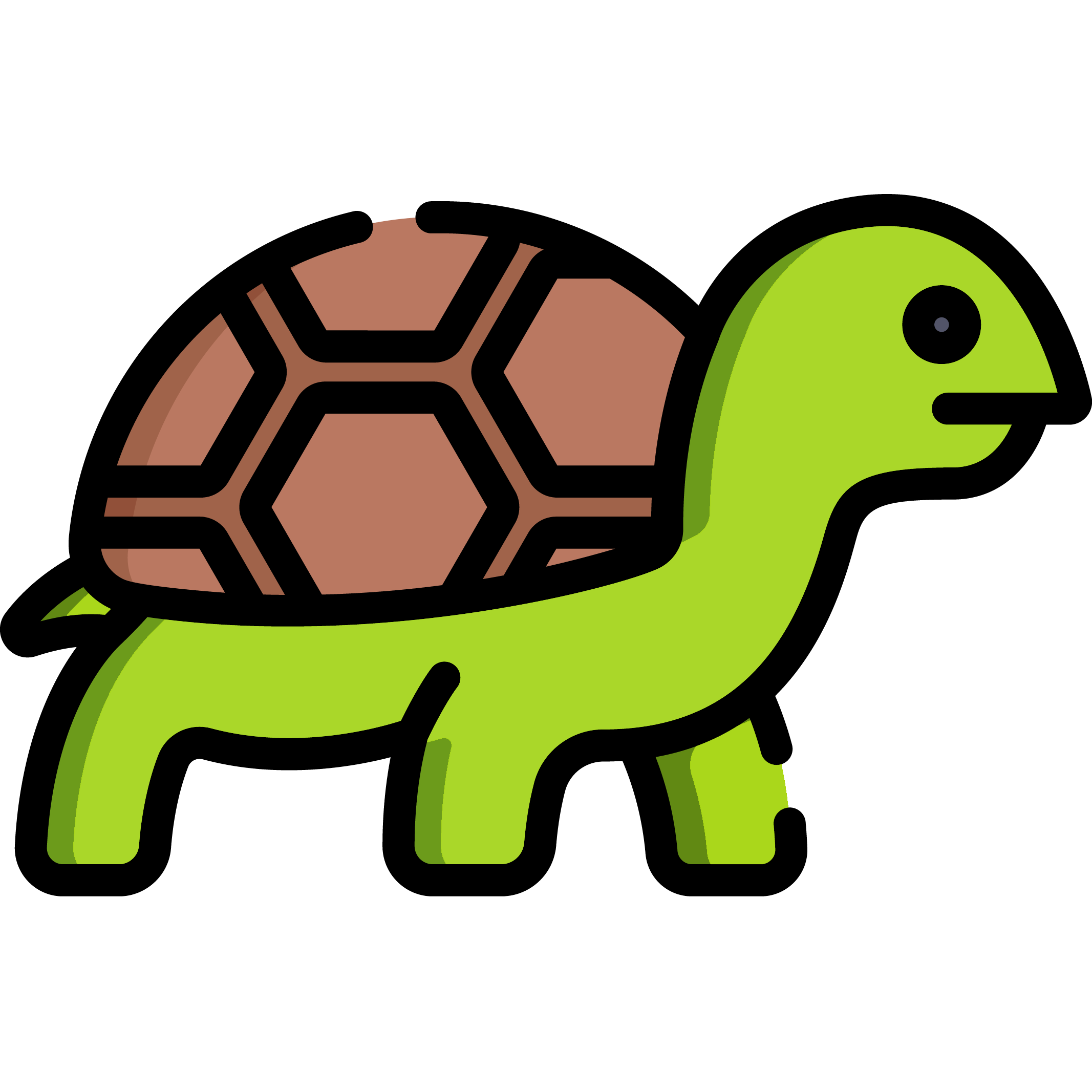 Turtle1