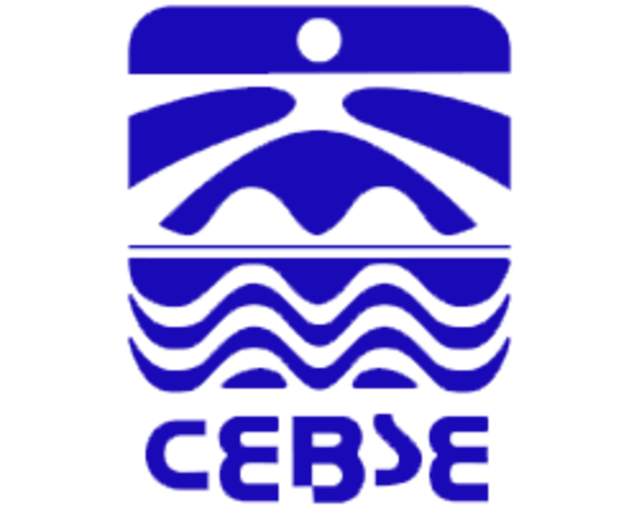 CEBSE logo